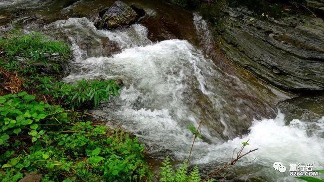 虫虫助手下载